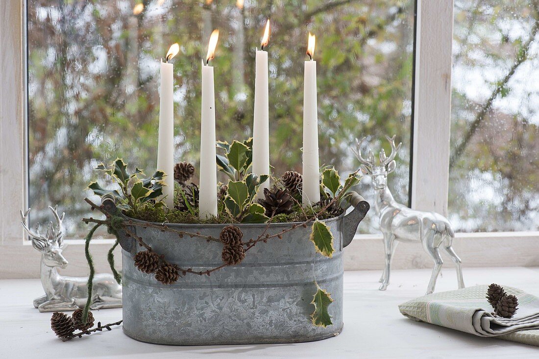 Simple Advent arrangement in zinc jardiniere by the window, white candles