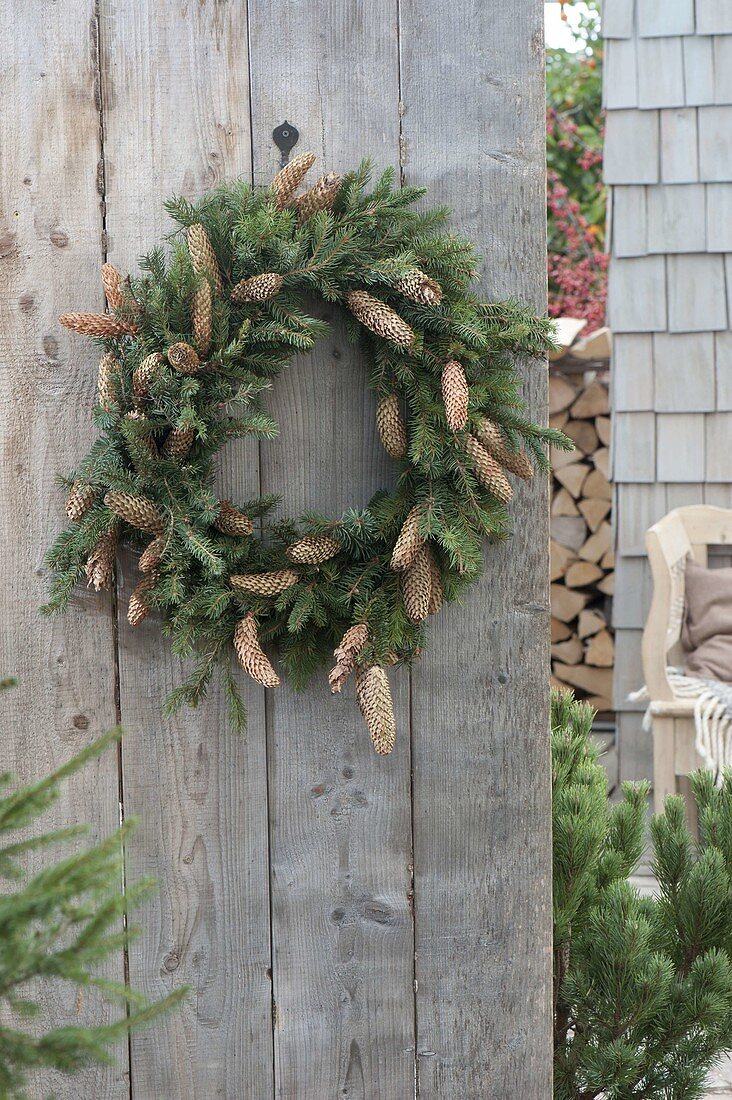 Natural wreath made of Picea (pine) with cones