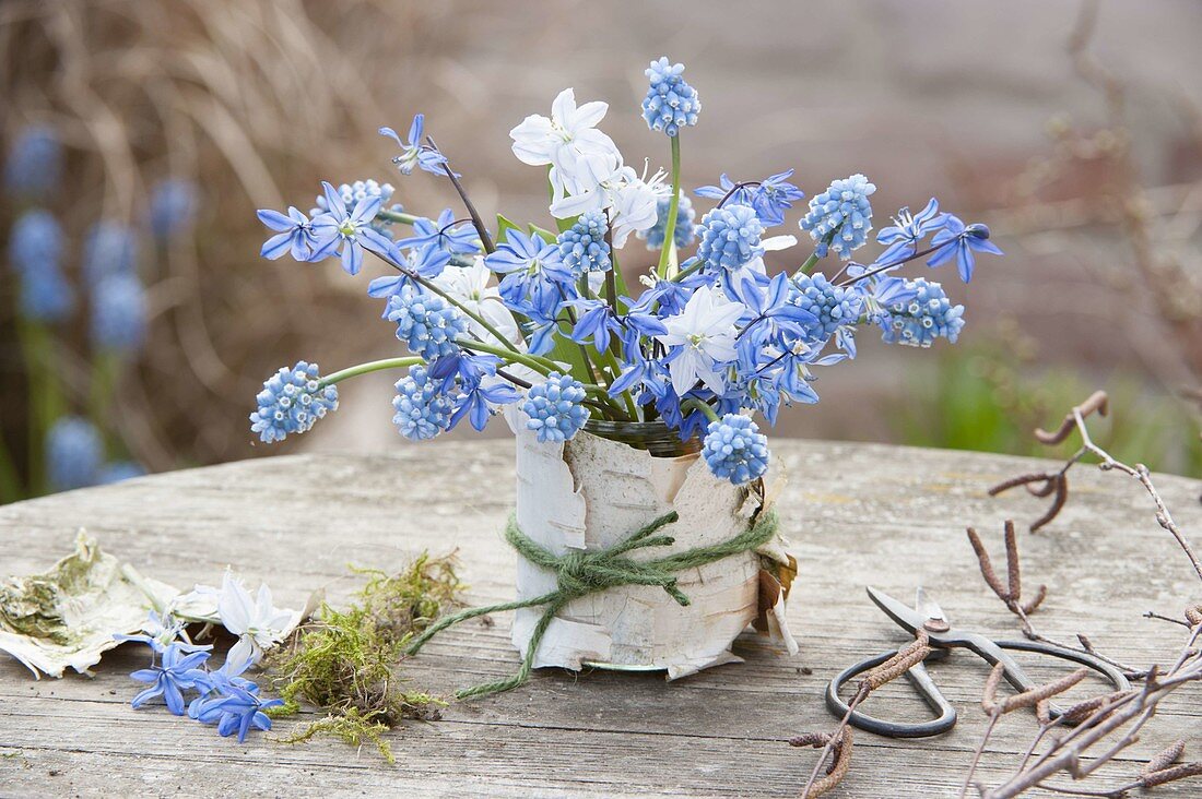 Small bouquet of muscari and scilla on table