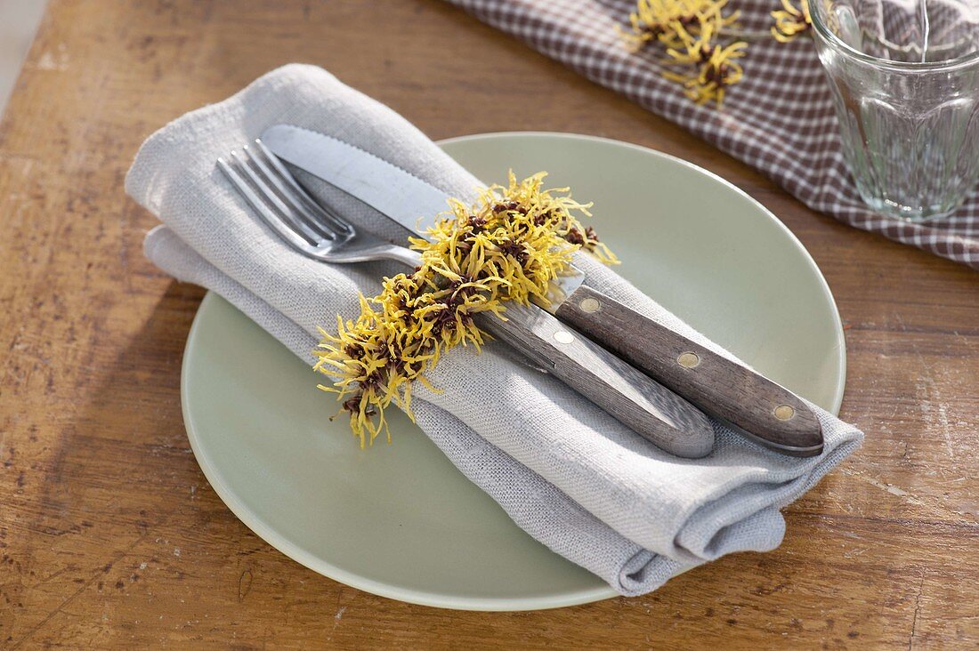 Napkin ring made from witch hazel (witch hazel) bunches