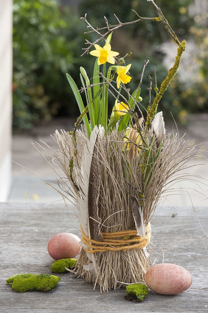 Narcissus 'Tete a Tete' (Narzissen), Topf mit Gräsern verkleidet