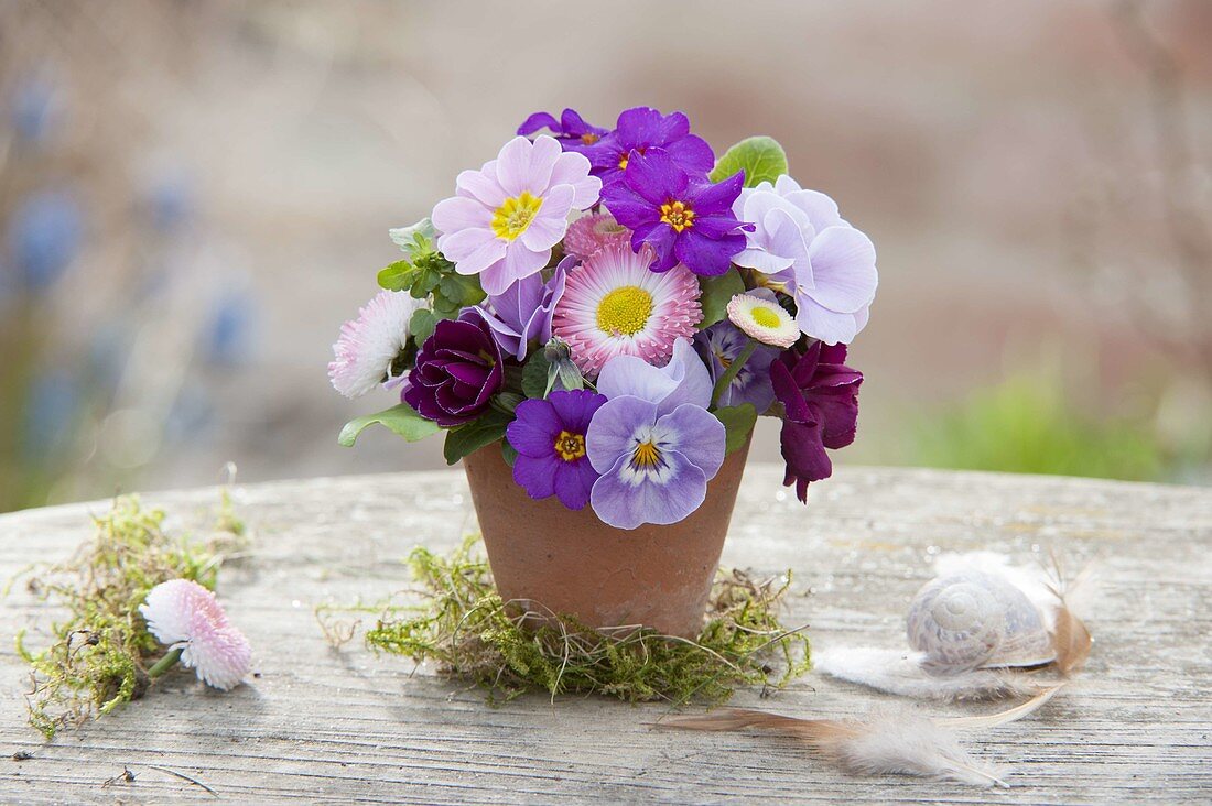 Ministrauss in Terracotta auf Moos, Primula (Primeln), Viola cornuta