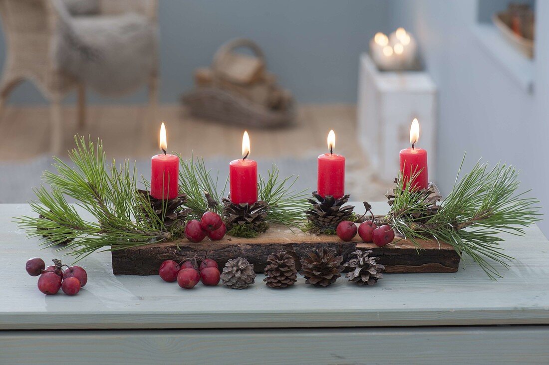 Natural Advent decoration, Pinus twigs and cones