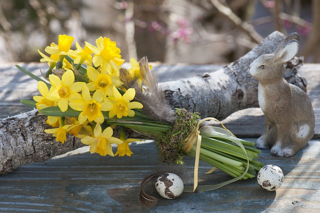 Narcissus 'Tete A Tete' (Daffodil) bouquet on log