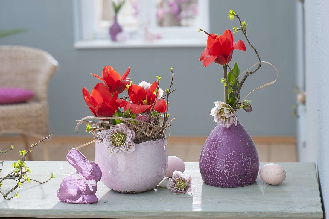 Small Easter decoration with Tulipa (tulip), Helleborus orientalis
