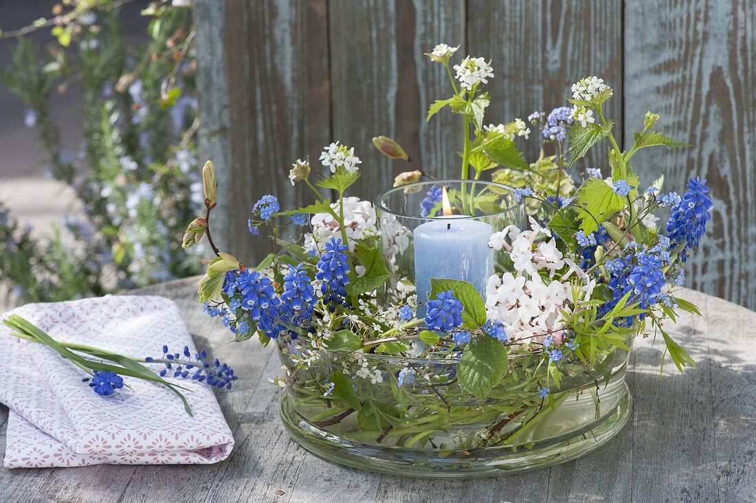 Windlicht in Glasschale mit Muscari (Traubenhyazinthen), Viburnum