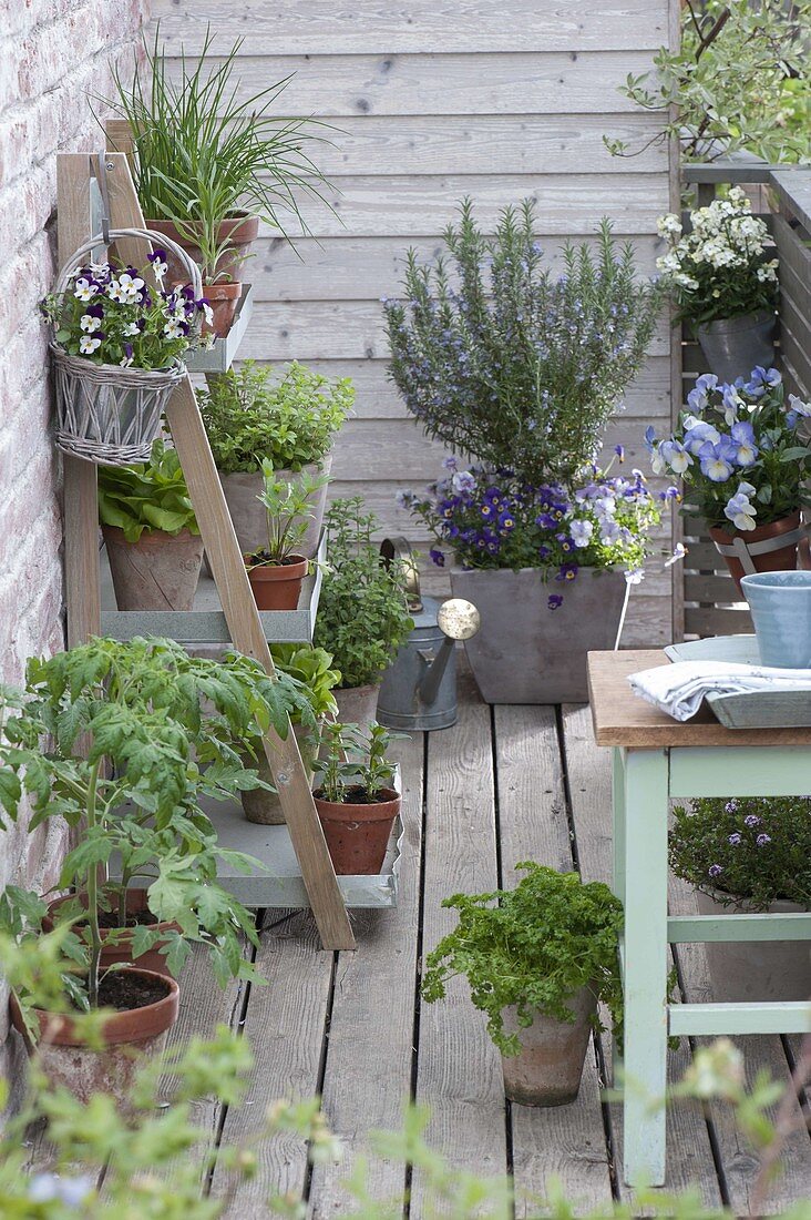 Kleiner Balkon mit Kräutern und Gemüse
