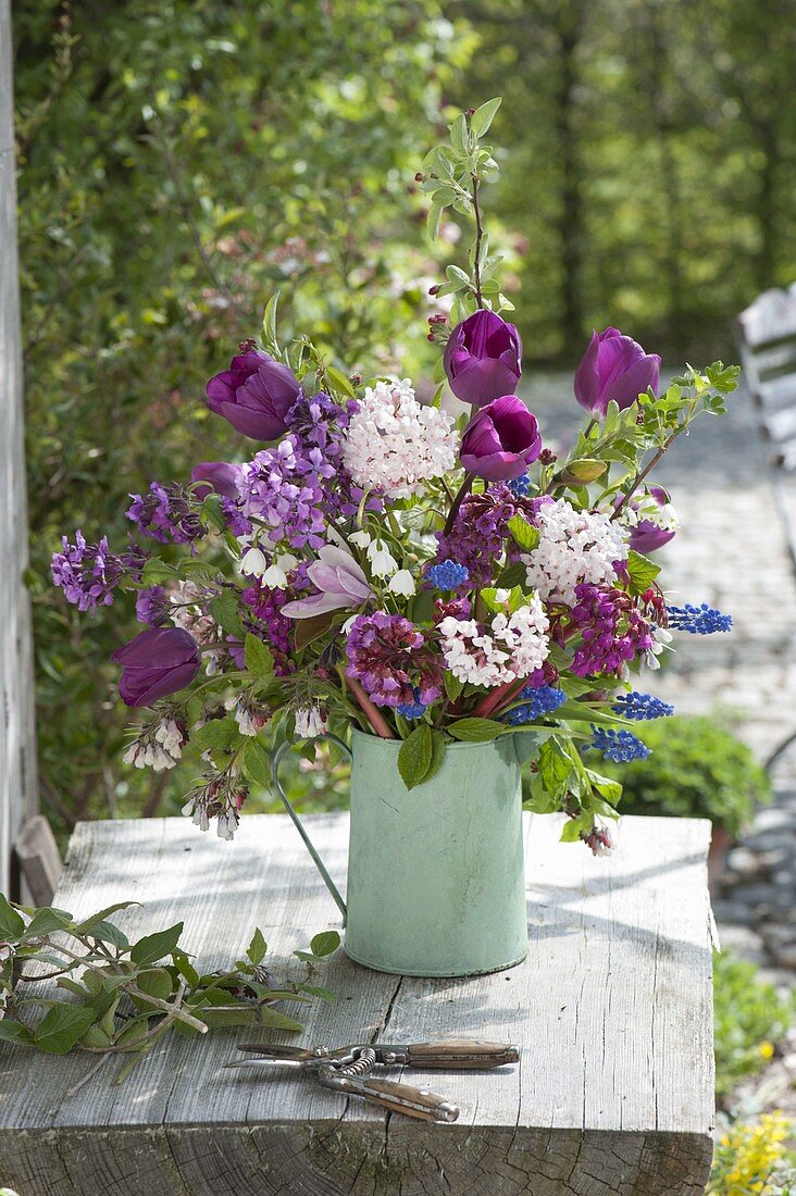 Pink-purple tulips 'Purple Prince' and Viburnum carlcephalum bouquet