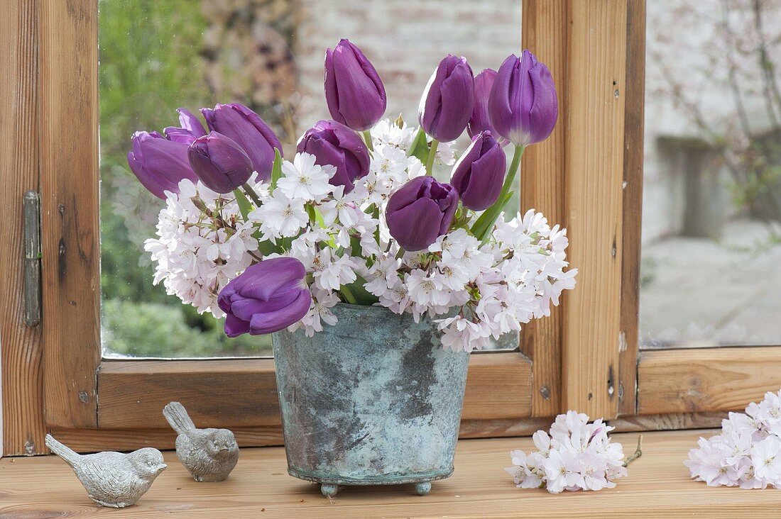 Kleiner Strauss mit Tulipa 'Purple Prince' (Tulpen) und Zweigen von Prunus