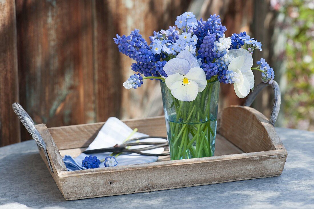 Mini-Strauss aus Muscari (Traubenhyazinthen), Viola (Stiefmütterchen)