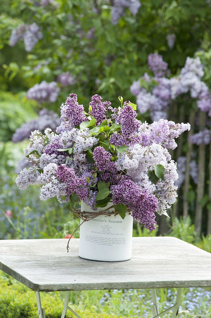 Lush syringa (lilac) bouquet in a cookie jar