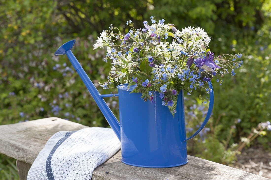 Watering can used as a vase, Brunnera