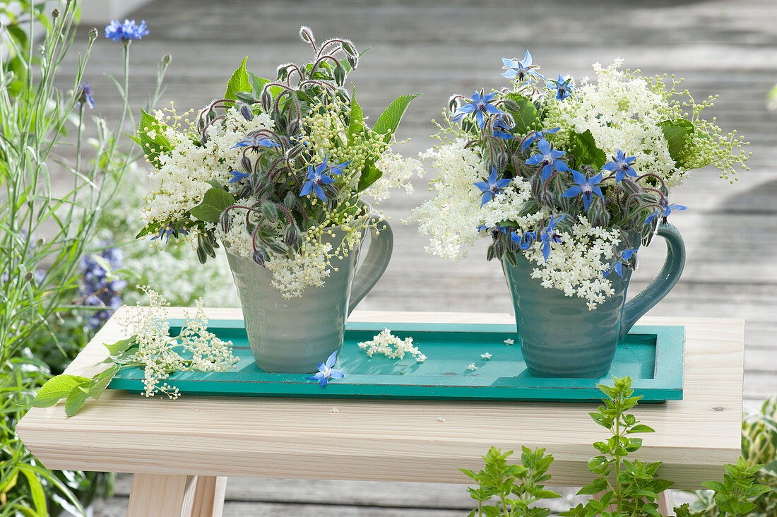 Blau - weiße Straeusschen aus Borretsch (Borago) und Holunderblüten