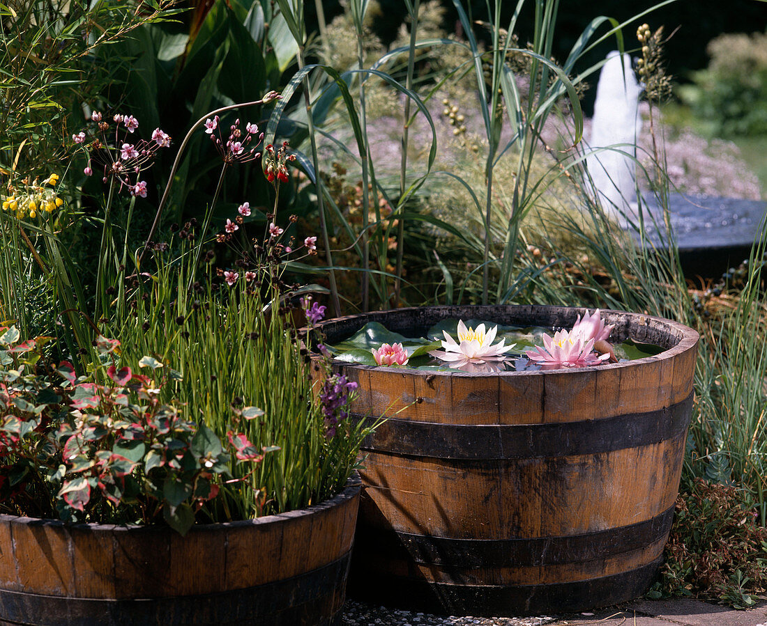 Barrel with water lilies
