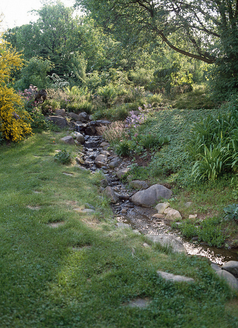 creek stream