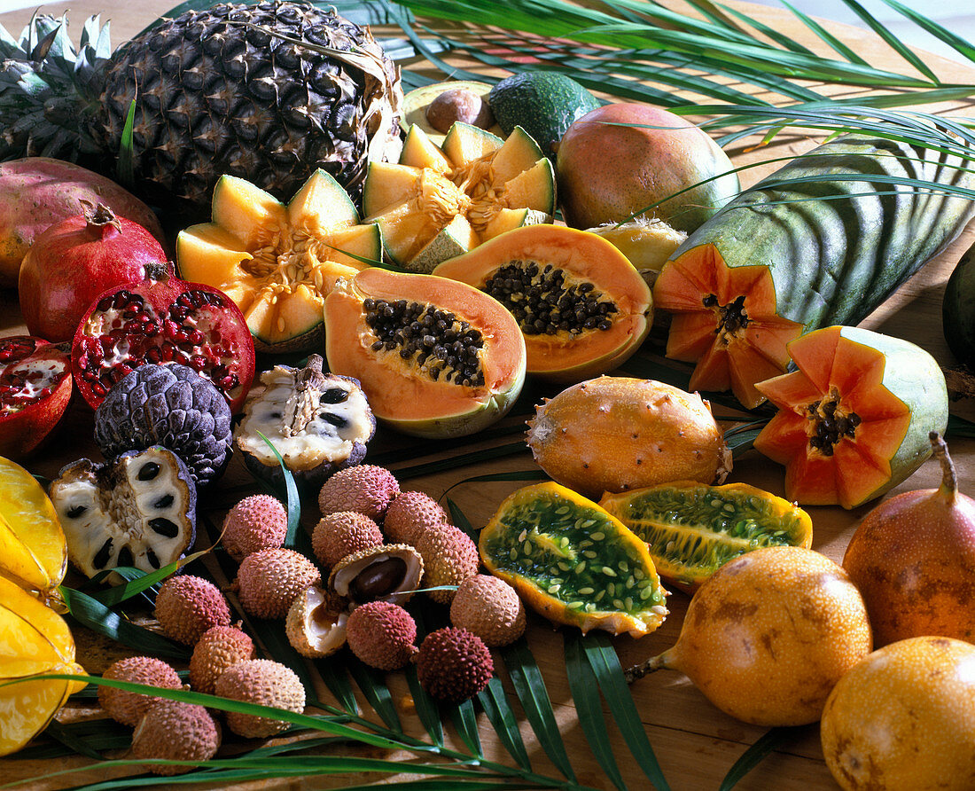 Aussaat von Exoten, von oben links, Ananas, Melone