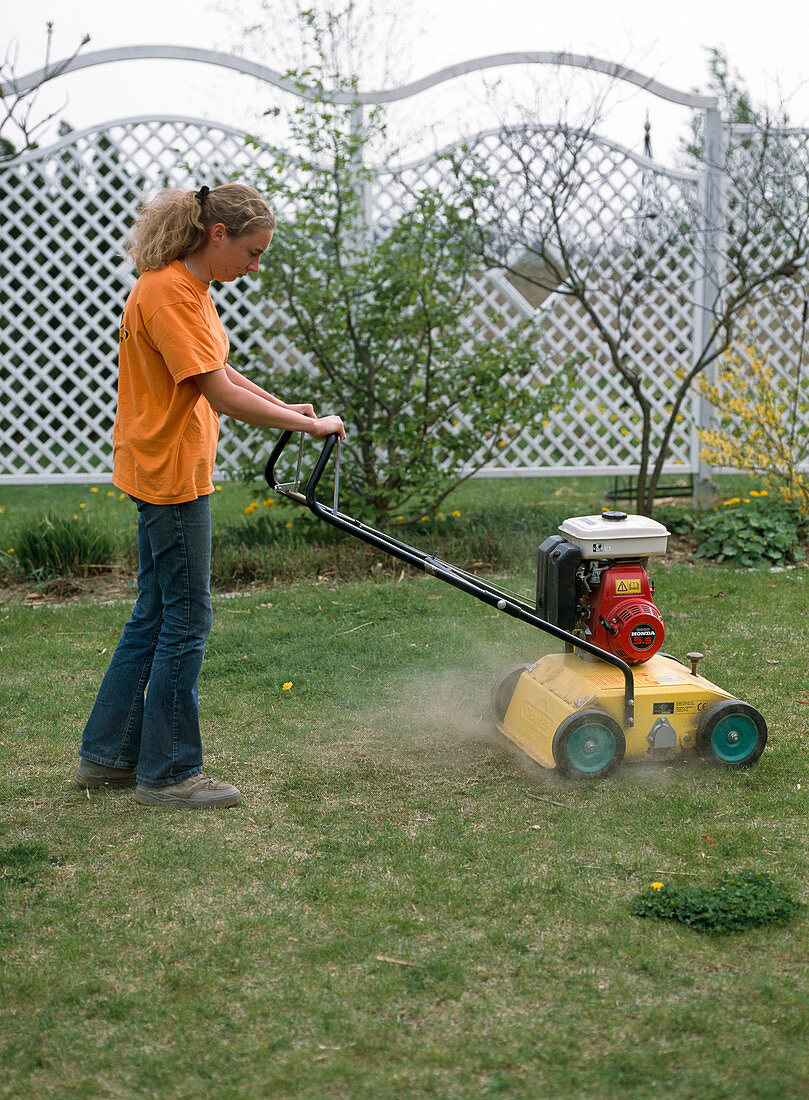 Scarify the lawn