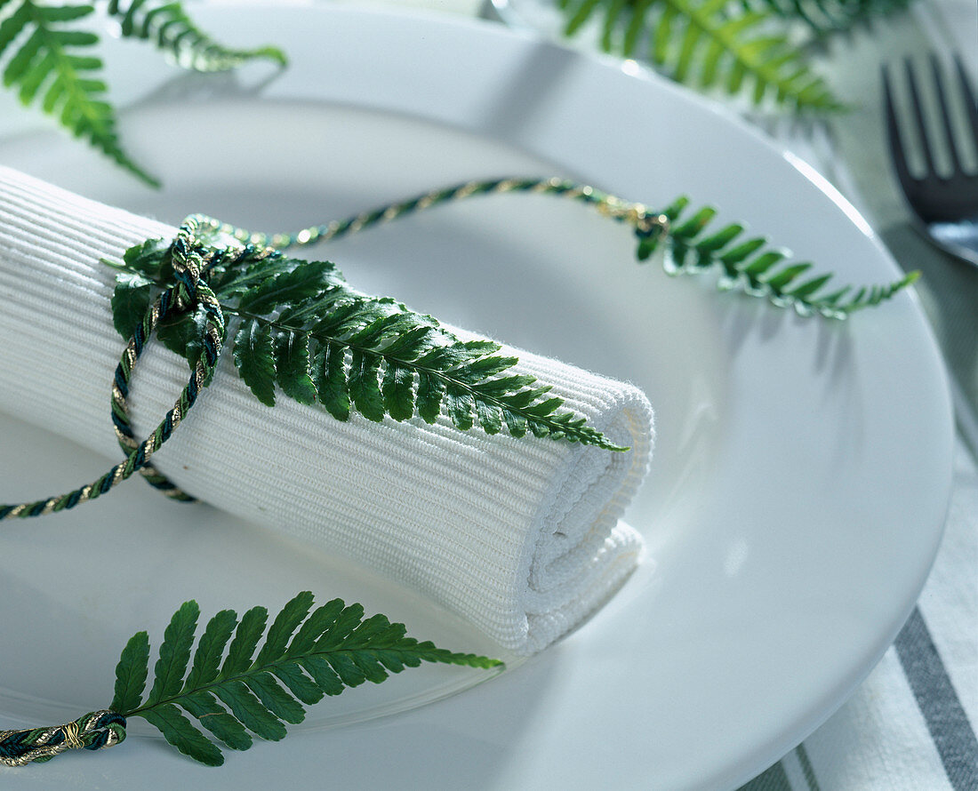Napkin decoration with fern leaves and cord