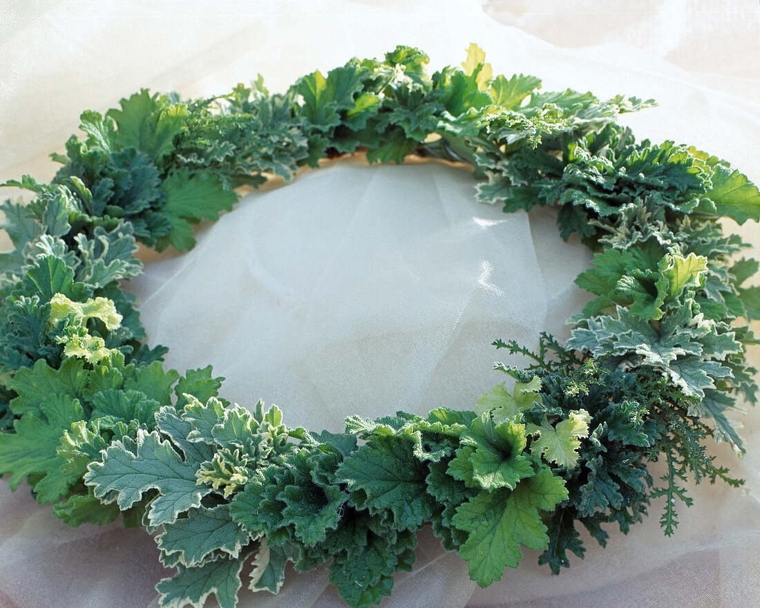 Table wreath from various scented geraniums leaves
