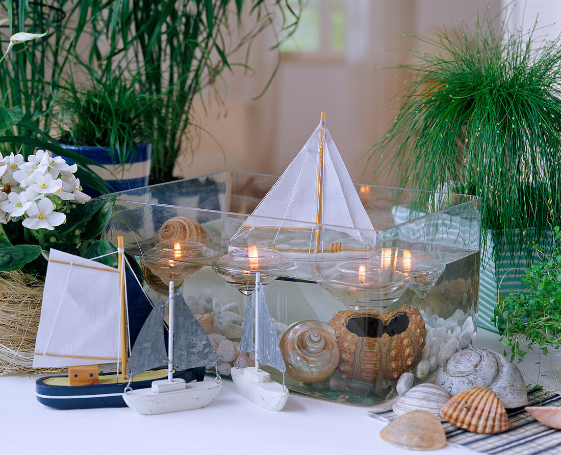 Maritime arrangement with sailing boats, shells, glass
