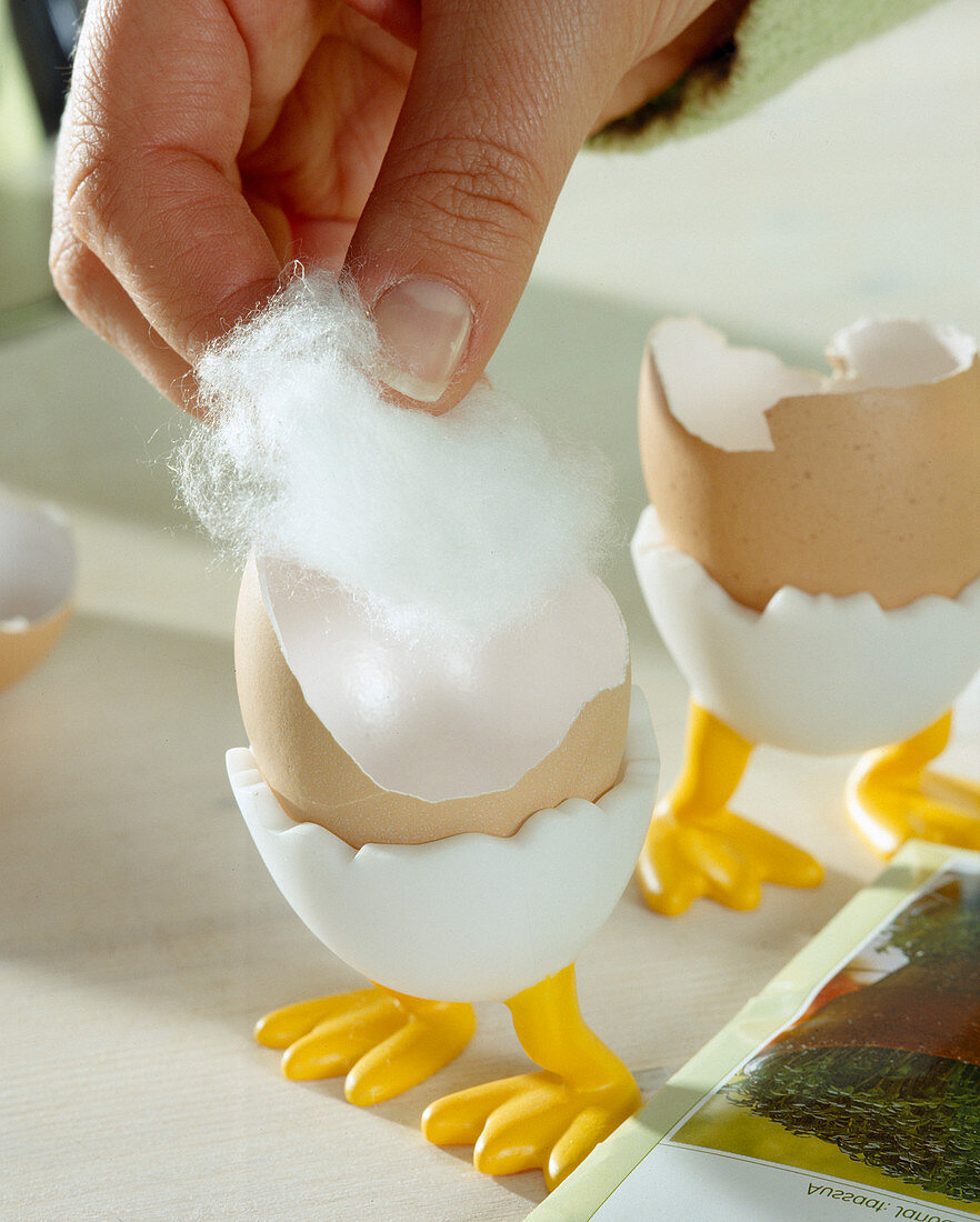 Kresseaussaat in Eierschale: 1. Step: Die Eierschalen mit Watte füllen