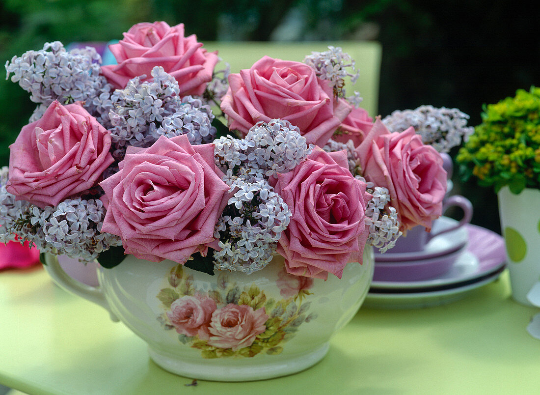 Rosen und Flieder / Syringa in einer Rosentasse