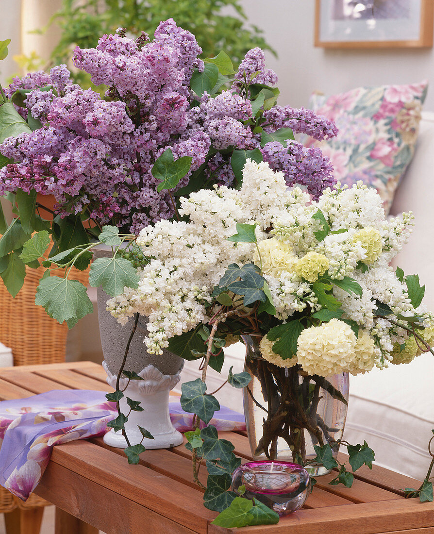 Syringa vulgaris (lilac bouquets)