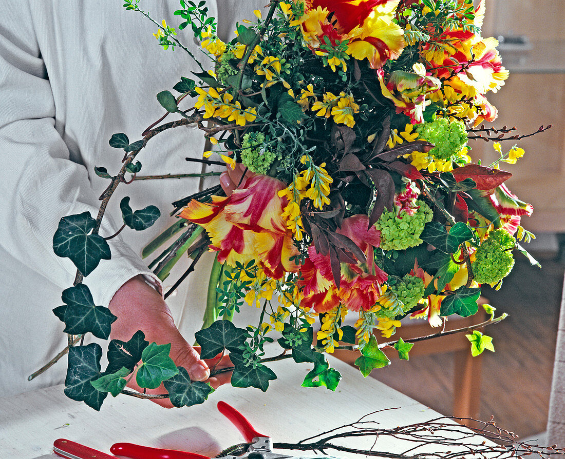 Strauß binden mit Tulpen, Cytisus und Viburnum