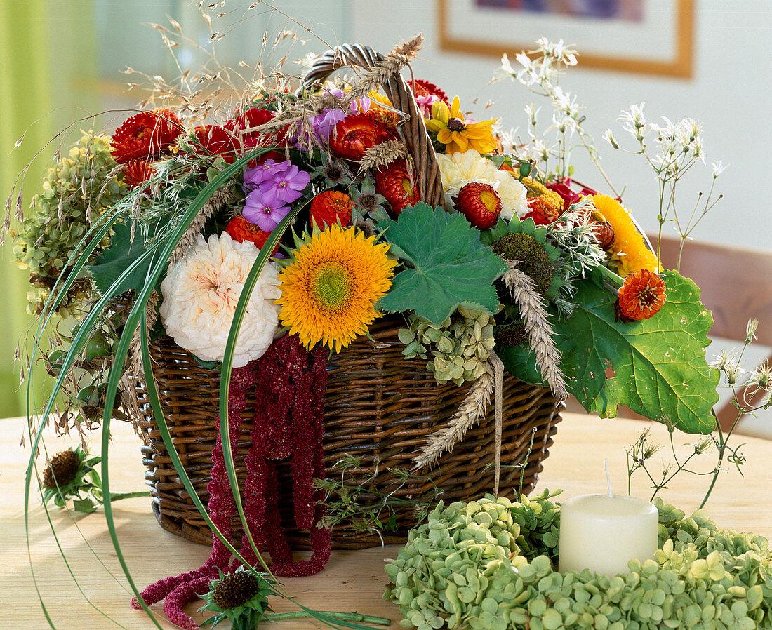 Basket with roses, Helianthus (sunflower), Helichrysum