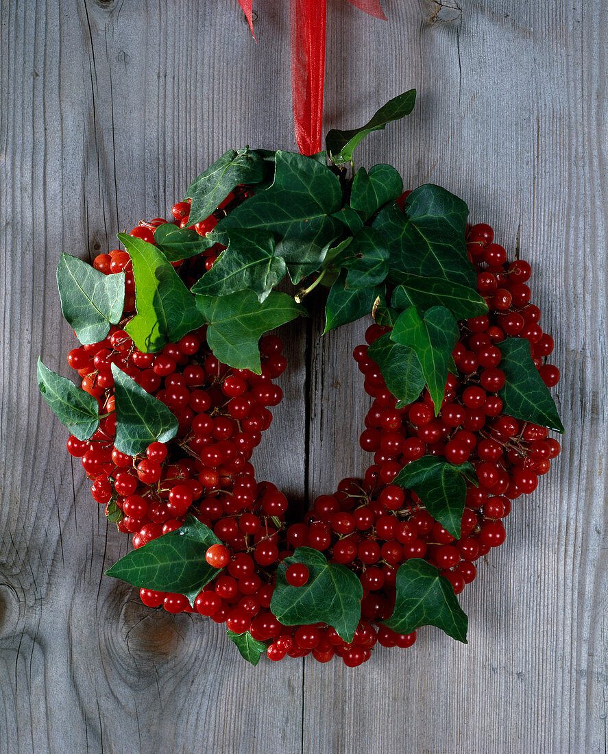 Türkranz aus Beeren der Viburnum trilobum, Schneeball