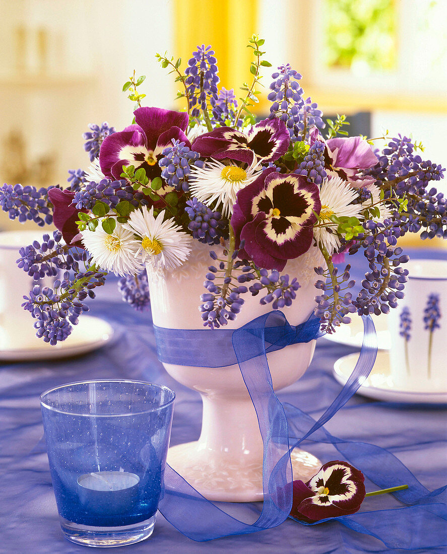 Viola (pansy), Bellis (daisies), Muscari (grape hyacinth)