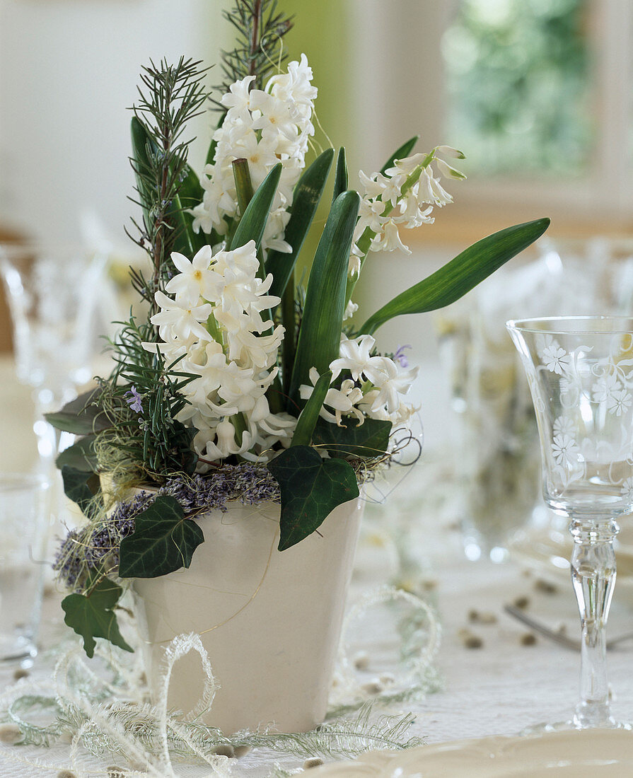 Hyacinthus (hyacinth), rosemary, hedera (ivy)