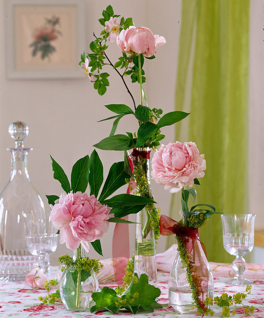 Peonies (peony) in single bottles