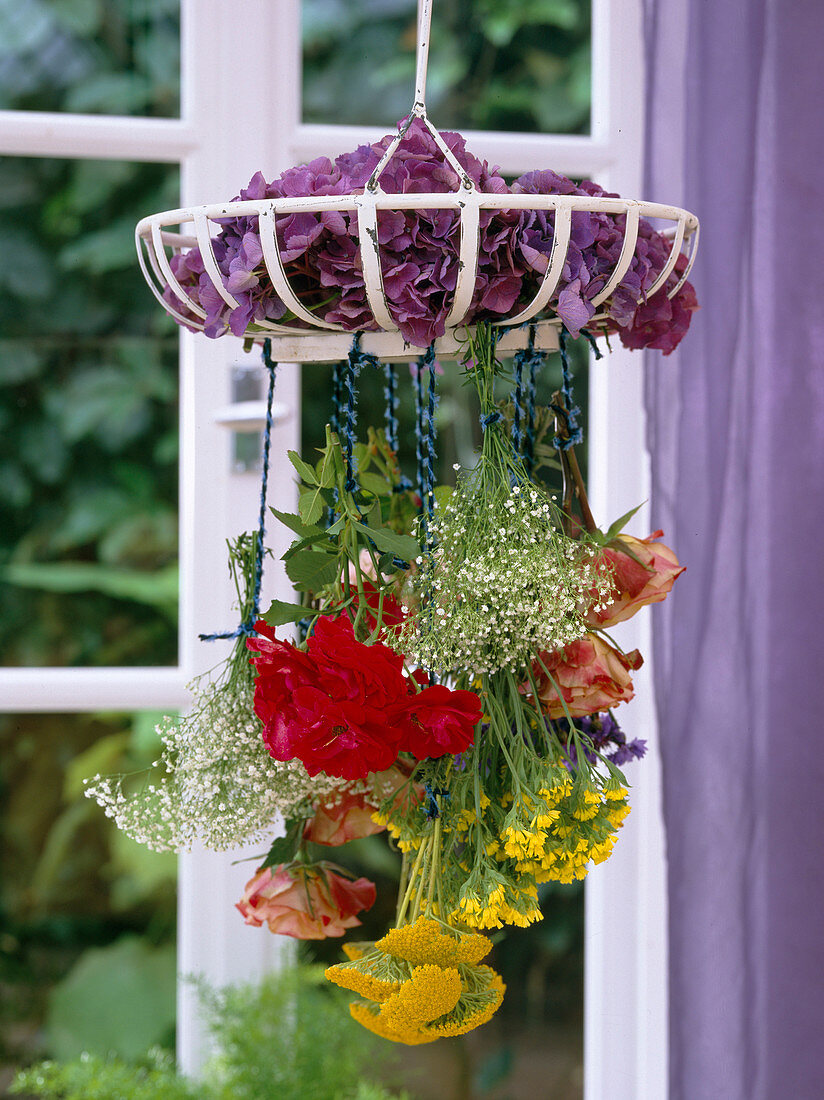 Blumen trocknen, verkehrtherum aufhängen, Hydrangea / Hortensien, Rosa, Gypsophi