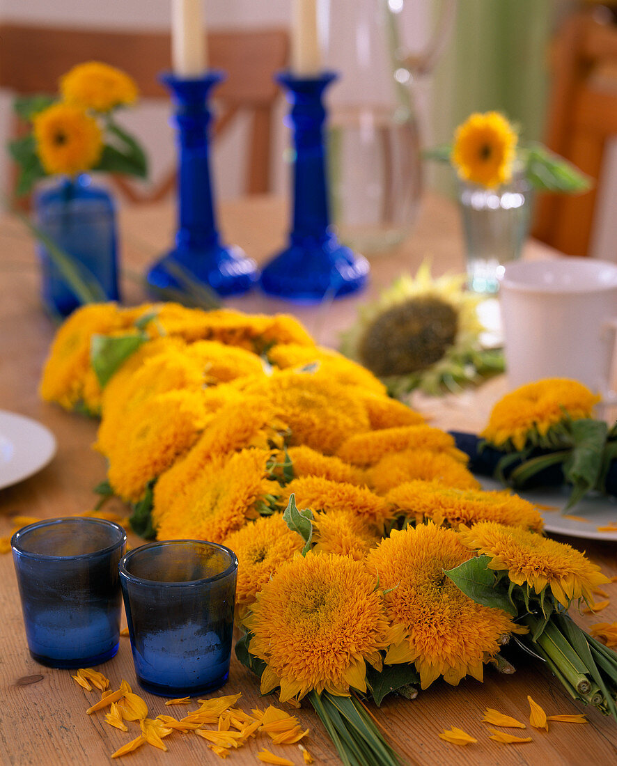 Table Decoration, Helianthus annuus (Sunflower 'Teddybär')