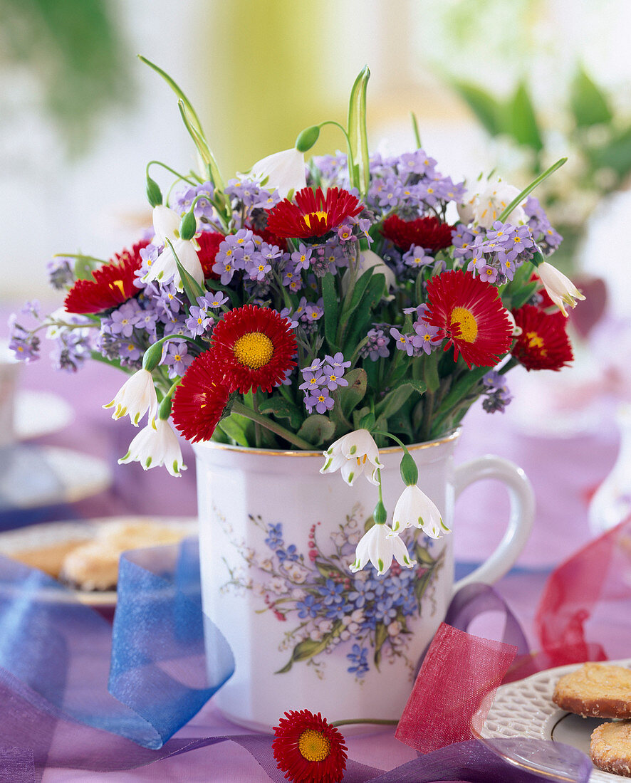 Myosotis / Vergißmeinnicht, Bellis 'Tasso Rot',