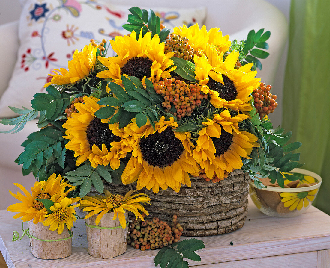 Korb mit Helianthus annuus (Sonnenblume)