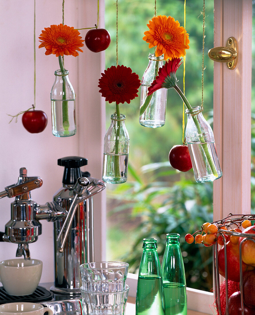 Small bottles as hanging vases, gerberas, malus (apple)