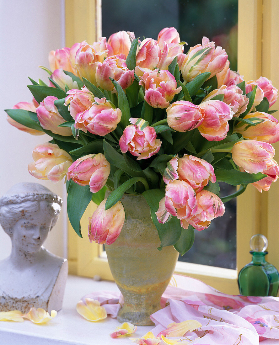 Tulipa 'Libretto Parrot' (Tulip bouquet at the window)