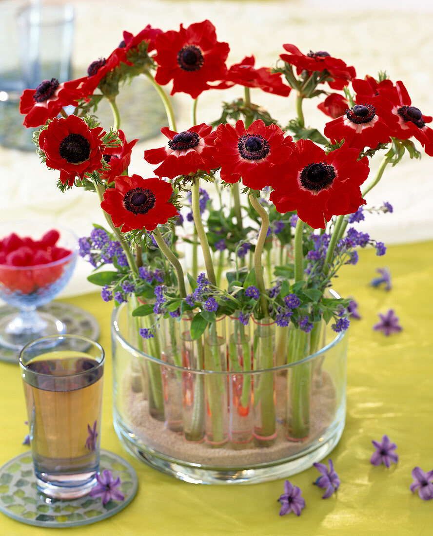 Test tube vases with anemones
