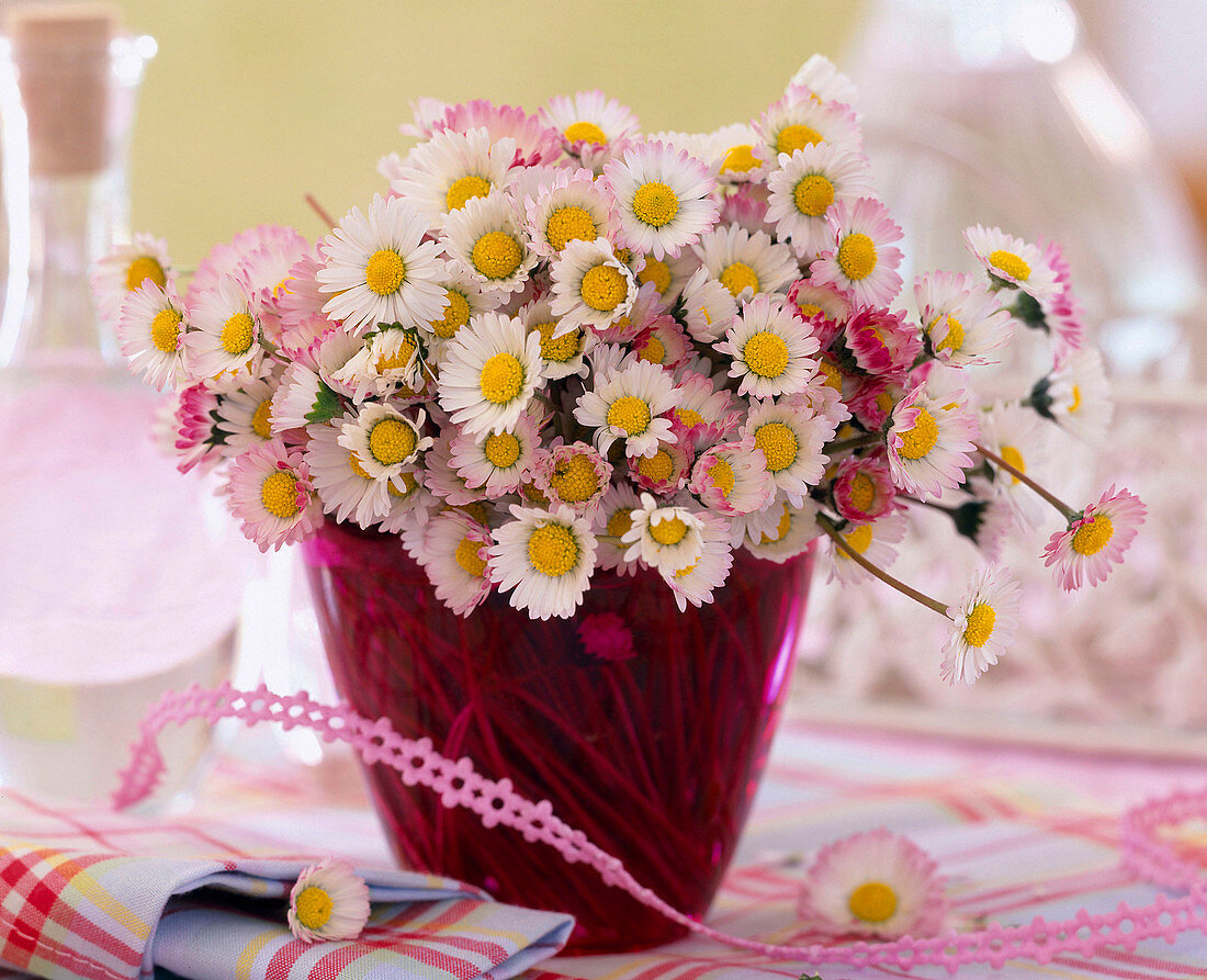 Bellis (daisy) bouquet in pink glass