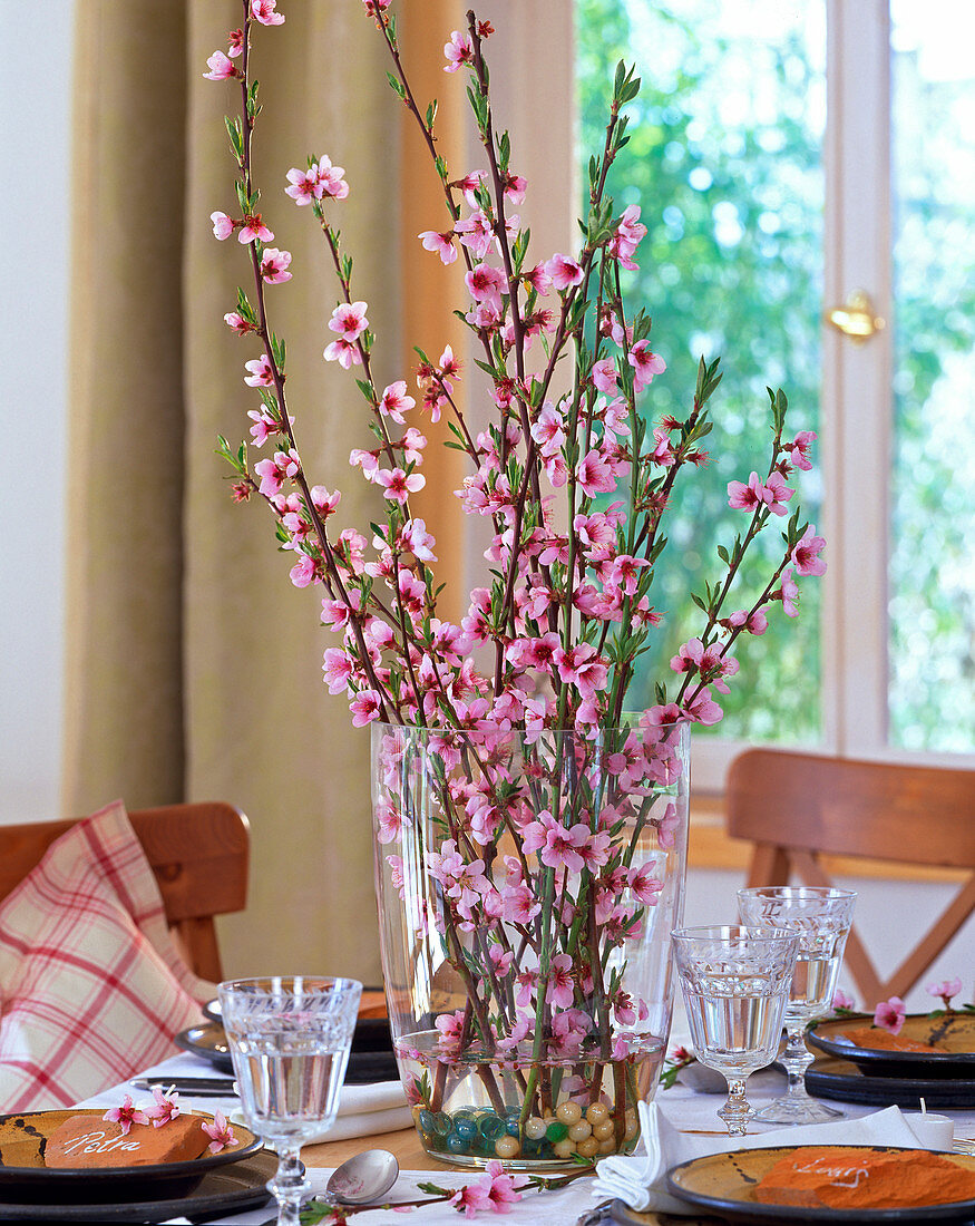 Prunus persica / Pfirsichblüten in Glasvase, Glaskugeln als Deko