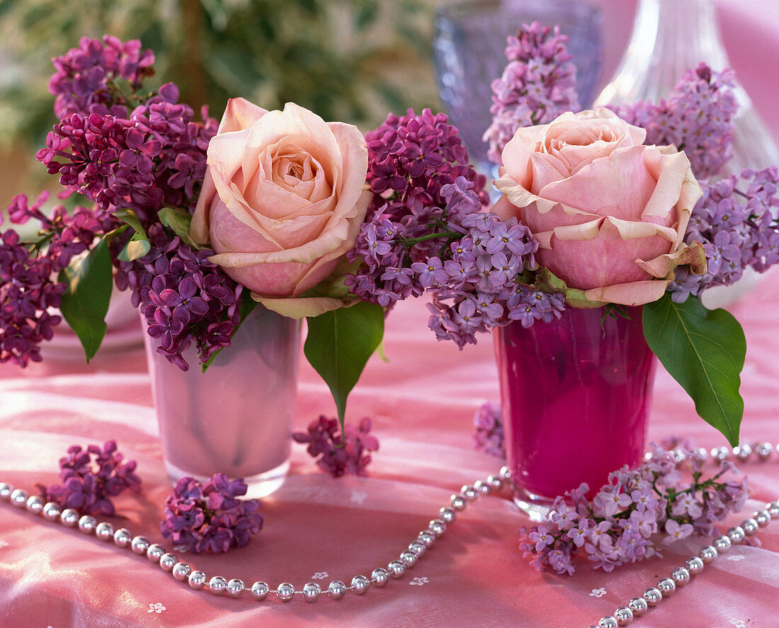 Syringa (lilac), rose, silver pearls string
