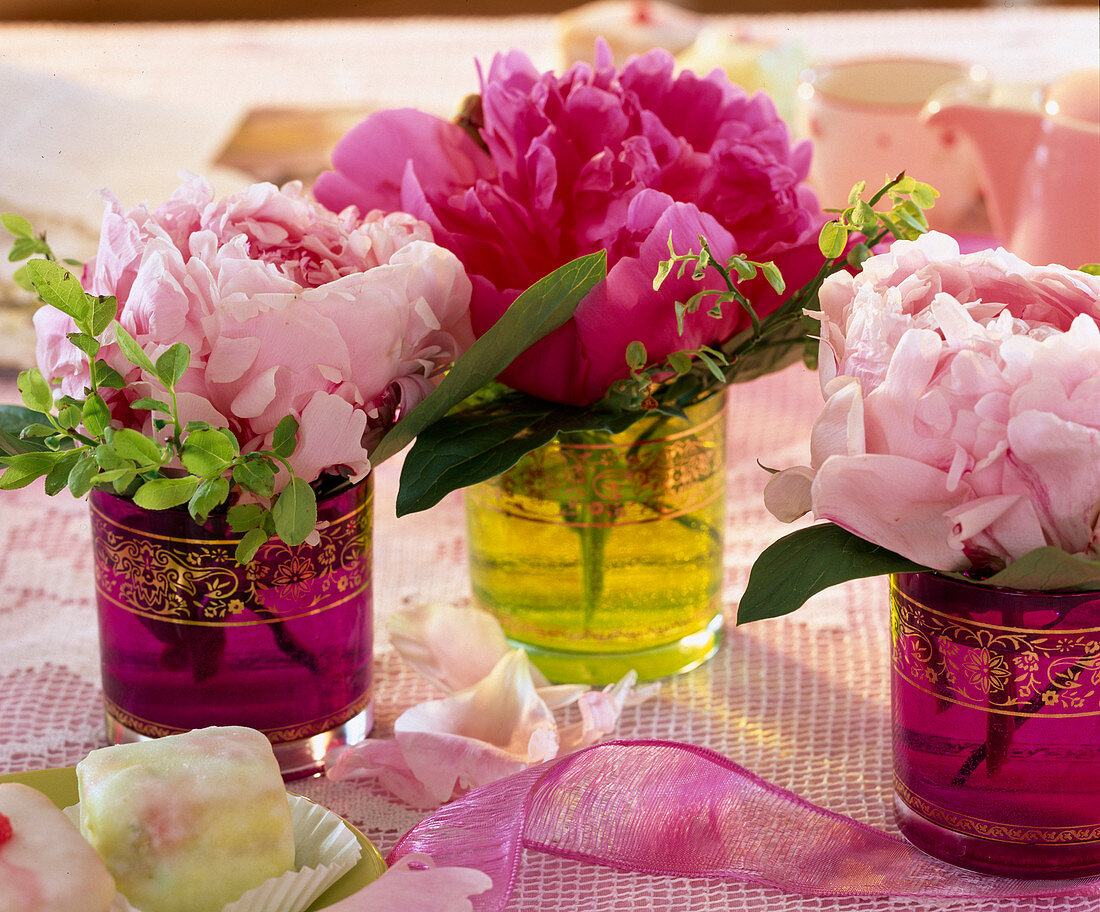 Paeonia (blooming peony) in glasses with gold rim
