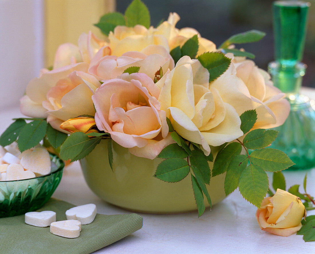 Pink 'spring fragrance', fragrant rose in green ceramic bowl