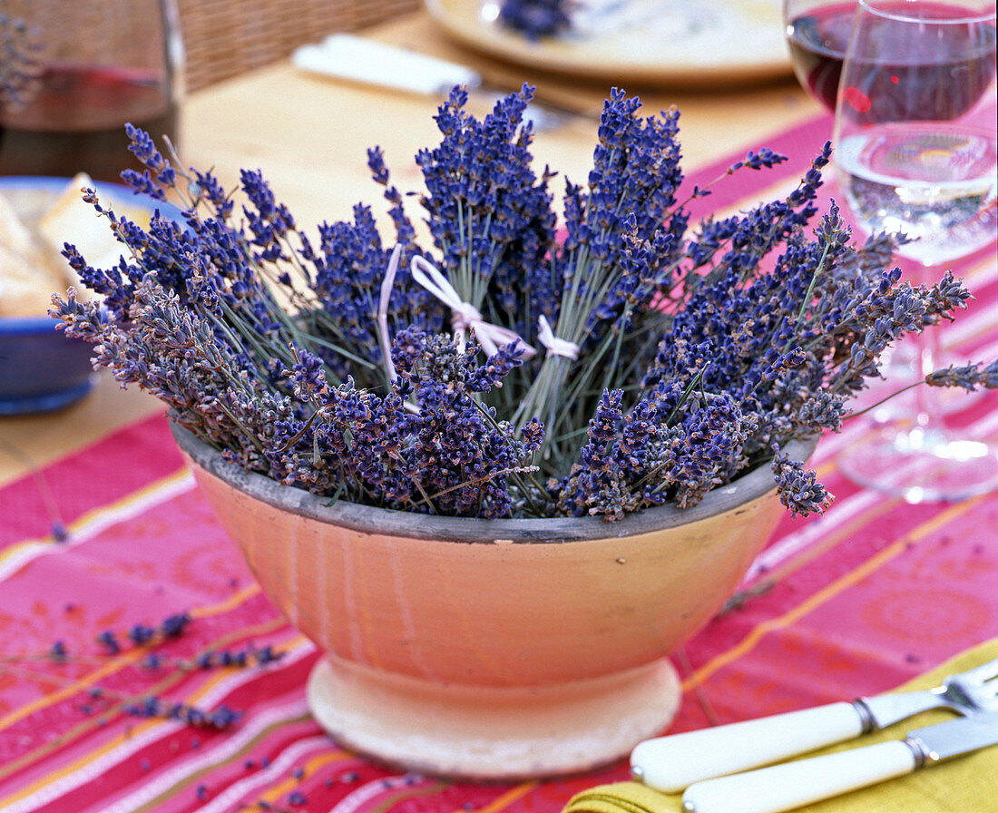 Lavandula, dried lavender bunches for further processing