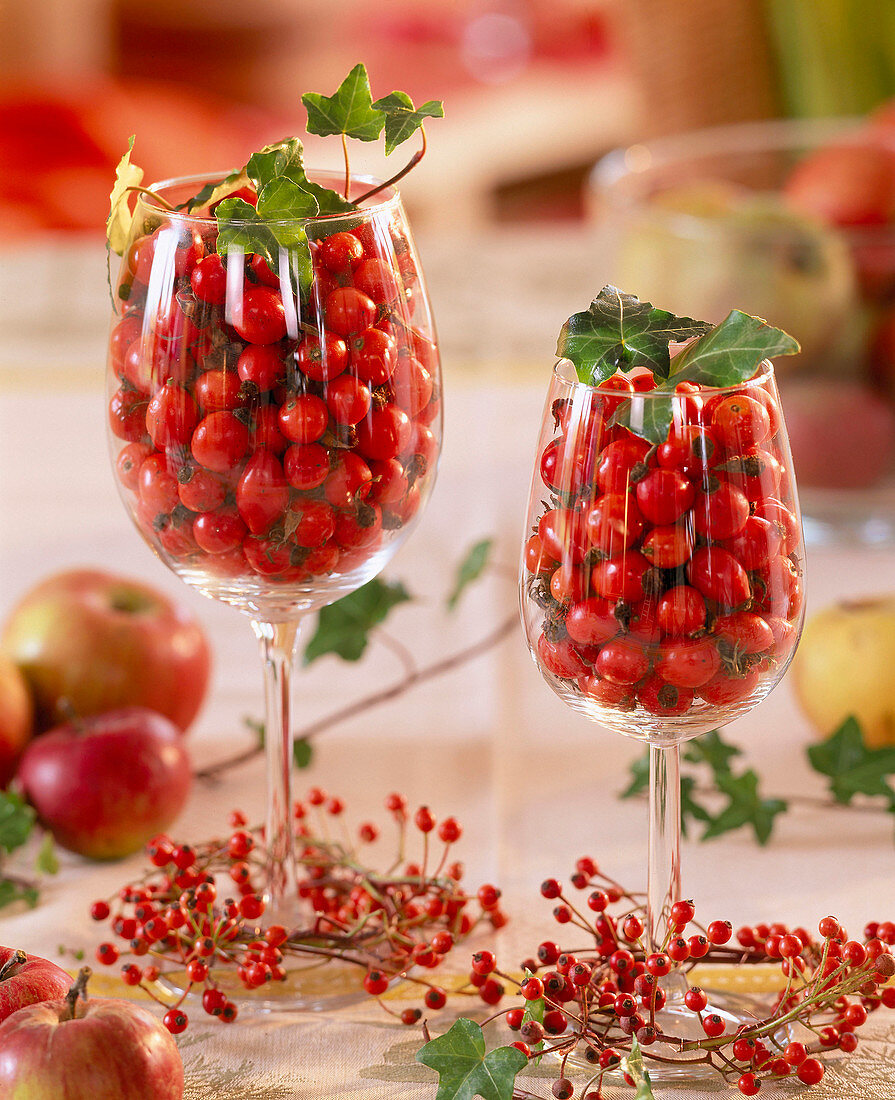 Rose rosehips in wine glasses and as a wreath, hedera ivy, malus apples