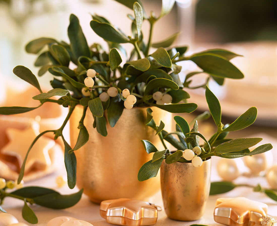 Mistletoe branches in golden vases as a table decoration