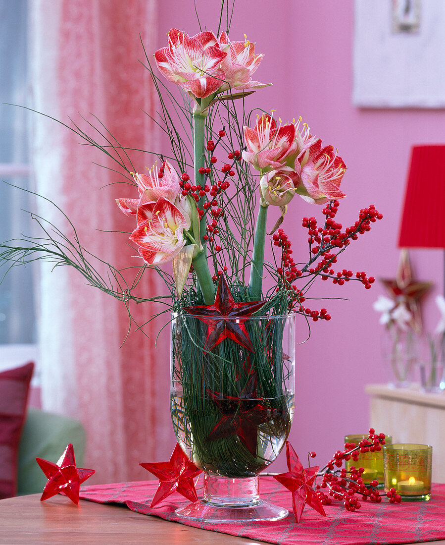 Arrangement with amaryllis