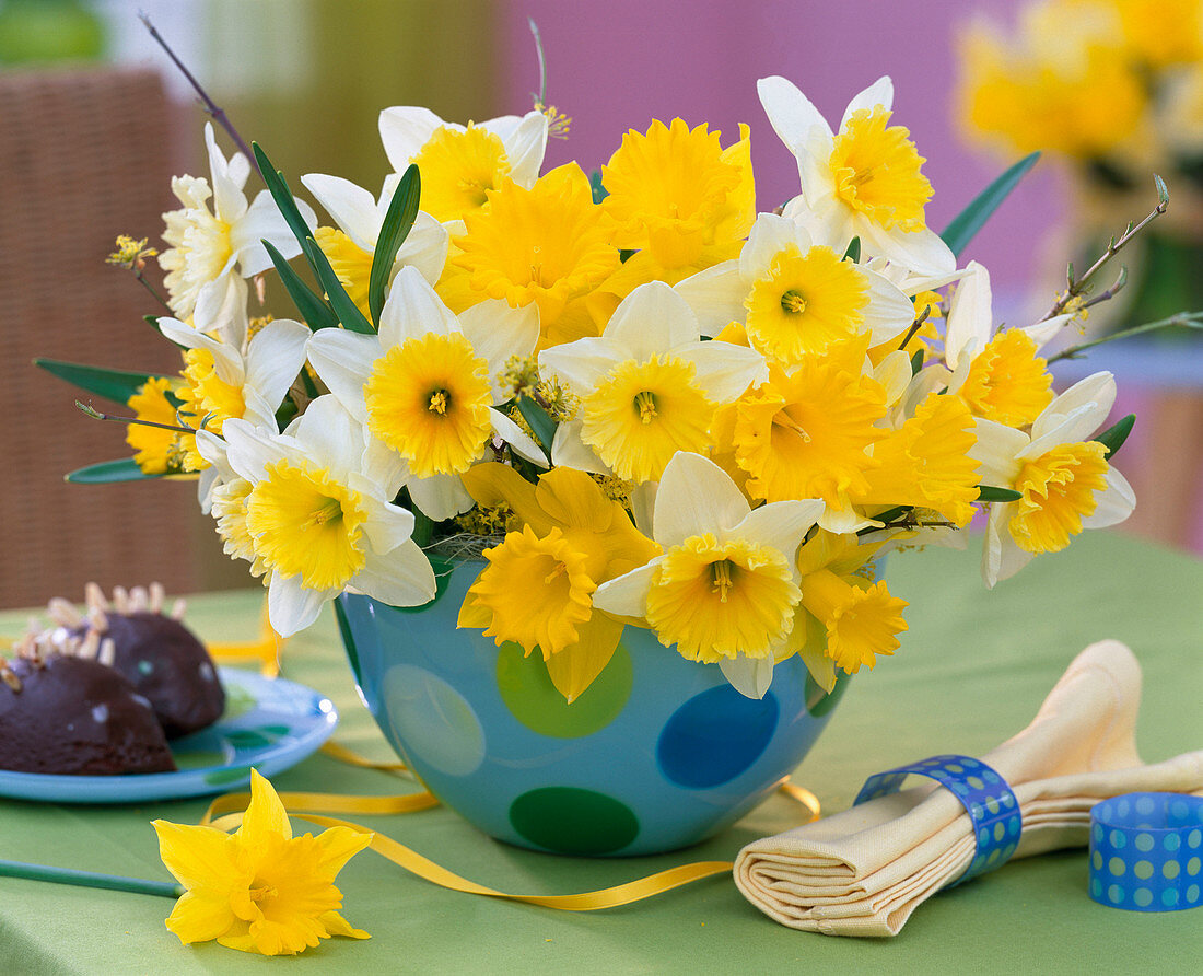 Narcissus (verschiedene Narzissen)